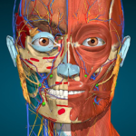 Anatomy Learning [Unlocked] Mod Apk 3.1.463