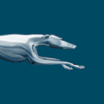 Greyhound [Unlocked] Mod Apk 9.61.0